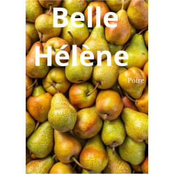 Tablette Belle Hélène