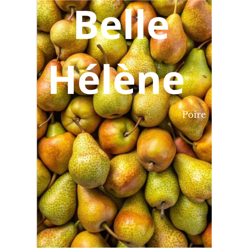 Tablette Belle Hélène