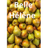 Tablette Belle Hélène