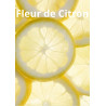 Tablette fleur de citron