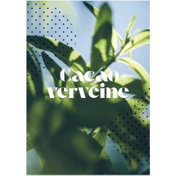 Cacao verveine , Tablette Chocolat verveine | Saveur intense et floral