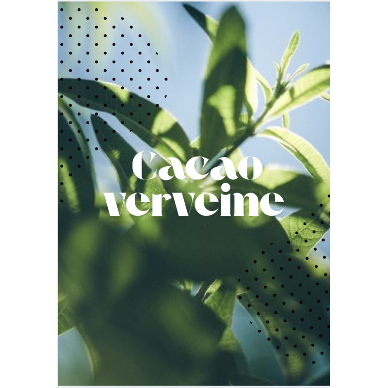 Cacao verveine , Tablette Chocolat verveine | Saveur intense et floral