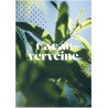 Cacao verveine , Tablette Chocolat verveine | Saveur intense et floral