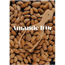 Amand'or Tablette Chocolat Amande | Saveur Fine & Gourmande