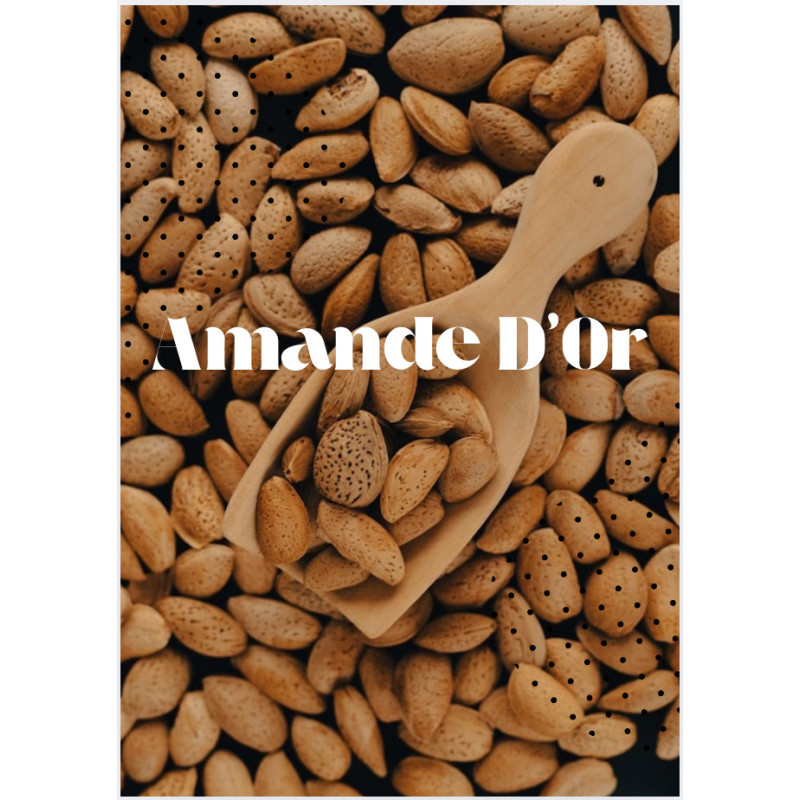 Amand'or Tablette Chocolat Amande | Saveur Fine & Gourmande
