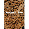 Amand'or Tablette Chocolat Amande | Saveur Fine & Gourmande