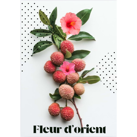 Chocolat au Litchi & Hibiscus – Gourmandise Florale Unique