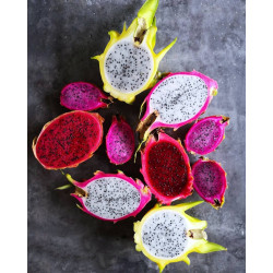 Tablette DragonBerry