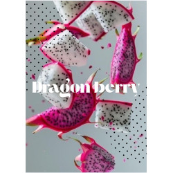 Tablette DragonBerry