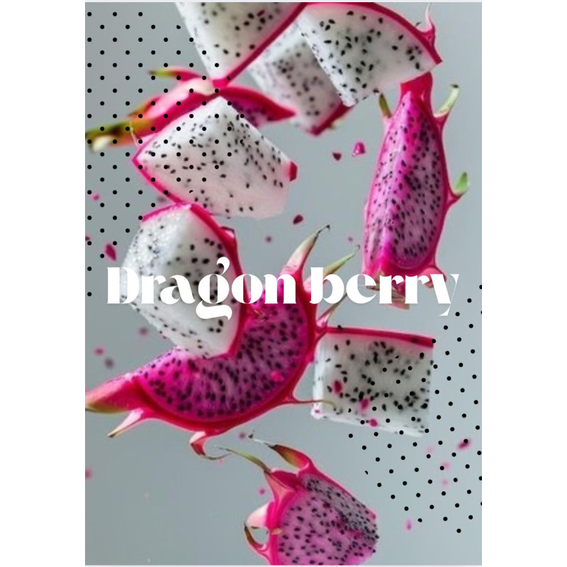 Tablette DragonBerry